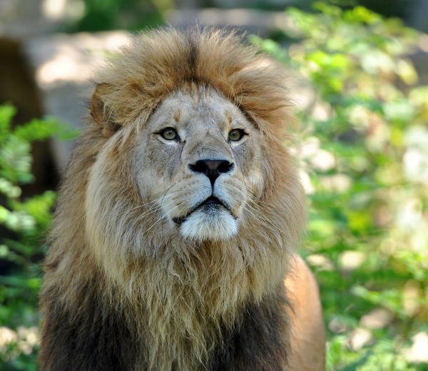 muc_25_grid_600x520_zoo